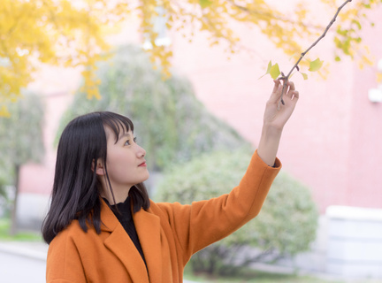 办理菲律宾签证被拒签了怎么办？